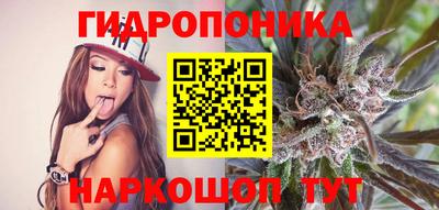 МДПВ Лесосибирск